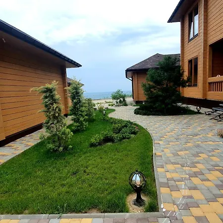Chayka Odessa